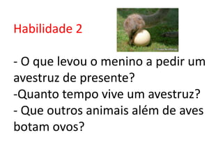 Habilidade 2
- O que levou o menino a pedir um
avestruz de presente?
-Quanto tempo vive um avestruz?
- Que outros animais além de aves
botam ovos?
 