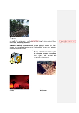 Manguezal
Atividade: Produção de um quadro comparativo das principais características
dos biomas, apresentadas na aula.
4ª semana (2 aulas): Apresentação oral de cada grupo (10 minutos para cada)
sobre o tema pesquisado anteriormente: A interferência humana em cada um
dos ecossistemas estudados.
Abaixo, estão relacionados exemplos
de principais impactos provocados
pelo homem que poderão ser
pesquisados pelos alunos.
Erosão Queimadas
[P2] Comentário: Tem que estar em
‘anexo ‘ no plano.
 