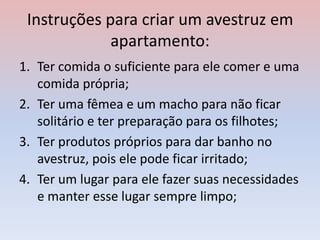 Instruções para criar um avestruz em
apartamento:
1. Ter comida o suficiente para ele comer e uma
comida própria;
2. Ter uma fêmea e um macho para não ficar
solitário e ter preparação para os filhotes;
3. Ter produtos próprios para dar banho no
avestruz, pois ele pode ficar irritado;
4. Ter um lugar para ele fazer suas necessidades
e manter esse lugar sempre limpo;
 