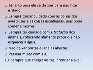 5. Ter algo para ele se distrair para não ficar
irritado;
6. Sempre tomar cuidado com as coisas dos
avestruzes e as coisas espalhadas, pois pode
comer e morrer;
7. Sempre ter cuidado com a tratação dos
animais, colocando alimento próprio e não
esquecer a água;
8. Não deixar portas e janelas abertas;
9. Passear muito com ele;
10. Sempre que chegar visitas, prender a ave;
 