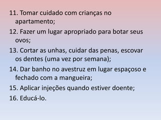 11. Tomar cuidado com crianças no
apartamento;
12. Fazer um lugar apropriado para botar seus
ovos;
13. Cortar as unhas, cuidar das penas, escovar
os dentes (uma vez por semana);
14. Dar banho no avestruz em lugar espaçoso e
fechado com a mangueira;
15. Aplicar injeções quando estiver doente;
16. Educá-lo.
 