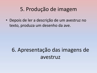 5. Produção de imagem
• Depois de ler a descrição de um avestruz no
texto, produza um desenho da ave.
6. Apresentação das imagens de
avestruz
 