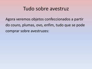 Tudo sobre avestruz
Agora veremos objetos confeccionados a partir
do couro, plumas, ovo, enfim, tudo que se pode
comprar sobre avestruzes:
 