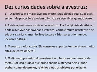 Dez curiosidades sobre a avestruz:
1. O avestruz é a maior ave que existe. Mas ele não voa. Suas asas
servem de proteção e ajudam o bicho a se equilibrar quando corre.
2. Existe apenas uma espécie de avestruz. Ela é originária da África,
onde a ave vive nas savanas e estepes. Como é muito resistente e se
adapta a vários climas, foi levada para várias partes do mundo,
inclusive o Brasil.
3. O avestruz adora calor. Ele consegue suportar temperaturas muito
altas, de cerca de 55º C.
4. O alimento preferido do avestruz é um besouro que tem cor de
metal. Por isso, tudo o que brilha chama a atenção dele e pode
acabar comendo pregos, relógios e outros objetos por engano.
 