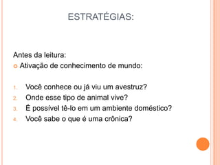 ESTRATÉGIAS:
Antes da leitura:
 Ativação de conhecimento de mundo:
1. Você conhece ou já viu um avestruz?
2. Onde esse tipo de animal vive?
3. É possível tê-lo em um ambiente doméstico?
4. Você sabe o que é uma crônica?
 