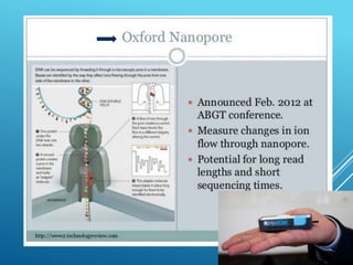 Nanopore: tecnologia de sequenciamento de long reads