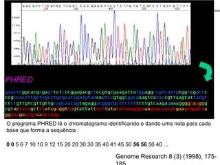0 0 5 6 7 10 10 9 12 15 20 20 30 30 35 40 41 45 50 56 56 50 40 ...
O programa PHRED lê o chromatograma identificando e dando uma nota para cada
base que forma a sequência :
Genome Research 8 (3) (1998), 175-
 