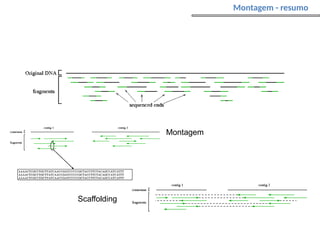 Montagem
Scaffolding
Montagem - resumo
 