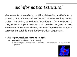 Bioinformática Estrutural
Não somente a sequência protéica determina a atividade da
proteína, mas também a sua estrutura tridimensional. Quando a
proteína se dobra, os resíduos importantes são orientados na
posição correta para exercer suas devidas funções. E essa
identidade de resíduos chaves, são mais importantes do que a
porcentagem total de identidade entre duas sequências.
• Busca por possíveis sítios de ligação:
– Geometria (Laskowski et al., 1996):
• Sítios de ligação, muitas vezes, encontrados na maior depressão da superfície da
proteína.
 
