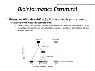 Bioinformática Estrutural
• Busca por sítios de catálise (aplicado somente para enzimas):
– Baseado em evolução convergente:
• Várias classes de enzimas, mesmo não tendo uma relação evolucionária, usam
conjuntos estruturalmente semelhantes de resíduos catalíticos para efetuar as suas
reações químicas.
 