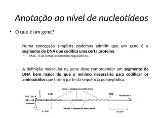 Anotação ao nível de nucleotídeos
• O que é um gene?
– Numa concepção simplista podemos admitir que um gene é o
segmento de DNA que codifica uma certa proteína.
• Mas... E os íntros, elementos regulatórios...
– A definição molecular de gene deve compreender um segmento de
DNA bem maior do que o mínimo necessário para codificar os
aminoácidos que fazem parte da sequência polipeptídica.
 