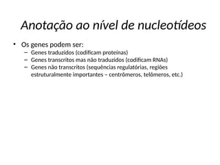Anotação ao nível de nucleotídeos
• Os genes podem ser:
– Genes traduzidos (codificam proteínas)
– Genes transcritos mas não traduzidos (codificam RNAs)
– Genes não transcritos (sequências regulatórias, regiões
estruturalmente importantes – centrômeros, telômeros, etc.)
 