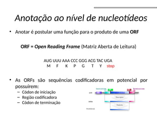 • Anotar é postular uma função para o produto de uma ORF
ORF = Open Reading Frame (Matriz Aberta de Leitura)
AUG UUU AAA CCC GGG ACG TAC UGA
M F K P G T Y stop
• As ORFs são sequências codificadoras em potencial por
possuírem:
– Códon de iniciação
– Região codificadora
– Códon de terminação
Anotação ao nível de nucleotídeos
 