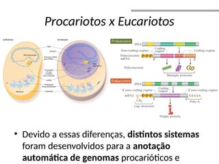Procariotos x Eucariotos
• Devido a essas diferenças, distintos sistemas
foram desenvolvidos para a anotação
automática de genomas procarióticos e
 