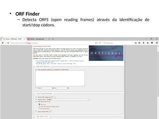 • ORF Finder
– Detecta ORFS (open reading frames) através da identificação de
start/stop códons.
 