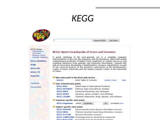 KEGG
 