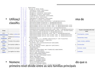 • Utilização do número E.C. (Enzyme Comission), sistema de
classificação estabelecido
• Nomenclatura possui quatro níveis hierárquicos sendo que o
primeiro nível divide entre as seis famílias principais
KEGG
 