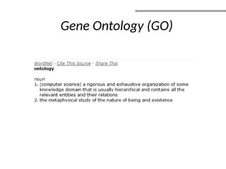 Gene Ontology (GO)
 