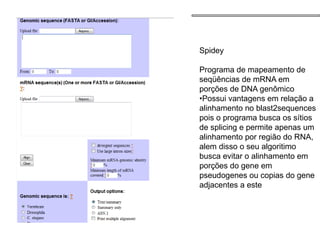 Spidey
Programa de mapeamento de
seqüências de mRNA em
porções de DNA genômico
•Possui vantagens em relação a
alinhamento no blast2sequences
pois o programa busca os sítios
de splicing e permite apenas um
alinhamento por região do RNA,
alem disso o seu algoritimo
busca evitar o alinhamento em
porções do gene em
pseudogenes ou copias do gene
adjacentes a este
 