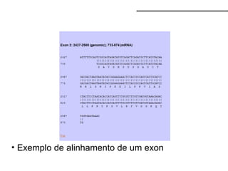 • Exemplo de alinhamento de um exon
 