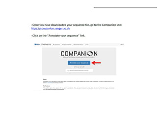 SequenciamentoMontagem_Primordios_Historico.pptx