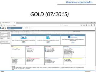 Genomas sequenciados
GOLD (07/2015)
 