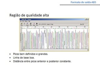 Formato de saída-AB1
 