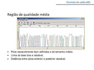 Formato de saída-AB1
 