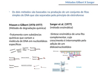 Métodos Gilbert X Sanger
• Os dois métodos são baseados na produção de um conjunto de fitas
simples de DNA que são separadas pelo princípio de eletroforese
Maxam e Gilbert (1976-1977)
(Método de degradação química)
-Tratamento com substâncias
químicas que cortam a
molécula de DNA em nucleotídeos
específicos
Sanger et al. (1977)
(método enzimático)
-Síntese enzimática de uma fita
complementar, cujo
crescimento é interrompido pela
adição de um
dideoxinucleotídeo
 