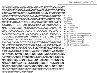NNNNNNNNNNNNNNNNNNNNNNTCTCTTATATANNATT
CCCGCCTTCNNTAAAGTATGCAAATAATGTCTGGTTTTA
AAGTAATGATTAACTGCATGCTCAGGATAATAGGGTTTG
ATGCCTTTATCCATGGGAAAATATTTGGTAACCTTAGGA
TAAAATCTAGCTGGCATAACCAATTTTAATCTTCGTAATT
CATTTTTAGTAAGTGGGCCTACAAATTGTTCACATTTAG
AAATCAGGTCTTGATGCAAATGAATATTAGGAAAAGAAG
NANTGNACCAGTTAGGATTAAAAGCAGGCACAGTAGAA
GAGTAAAGCCCCGTAAAGTTTCCCACCTTATGAGTCCA
AGGAATACTAACATTGGNAAGCTGGAGATTGAGATCTG
CGGCGACGCGGTGATTGAGATCTTCGTCTGCGAGGN
GAGNNAGTTCTTCTNCTAGGGGACCTGCCTCGTCGNC
TAACAACAGTAGTTTCCGGAAGTGTGNATAGGATAGGG
GCNTTTGGTGGTCTGTANGCAGGANGAGTGCGAATCN
NCACTCNNAAGGACACCAAATACTCTAGNACTGTNCTC
TTCCAAAAGTAAGGCAGGAAATGTGANNNNACANCAG
NNGTCTANNTTNNNNNNNNNNNNNNNNAACNTAGNNA
ACTACTAAANCCCTANCTNNNNCNNNNCANNNNNNNN
NNCNCCCNAGNNNGCNANNNNCATNNCCTNNNNCNN
NANANNNNNNANNNTNNCTNNNNNCCNTNNNGNNNN
NAANNNNNNANNNNCAGNNNANNNNNNNNNNNNNNN
NNAANNNNNNNNNNNNNNNTNNNNNANNNNNNNNNN
NNGGNNNANNCANNNNNN
Formato de saída-SEQ
A = adenina
C = citosina
G = guanina
T = timina
U = uracila
R = G A (purina)
Y = T C (pirimidina)
K = G T (ceto)
M = A C (amino)
S = G C (ligações de hidrogênio fortes)
W = A T (ligações de hidrogênio fracas)
B = G T C (todos, menos A)
D = G A T (todos, menos C)
H = A C T (todos, menos G)
V = G C A (todos, menos T)
N = A G C T (qualquer nucleotídeo)
 