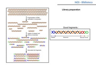 NGS - Biblioteca
 