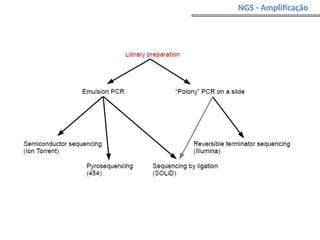 NGS - Amplificação
 