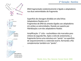 2ª Geração - Ilumina
Maridis Annu. Rev. Genome. Human Genet. 2008
DNA fragmentado randomicamente e ligado a adaptadores
nas duas extremidades do fragmento
Superfície de clonagem dividida em oito linhas
Adaptadores fixados em 5’
Fragmentos de DNA da amostra ligados aos adaptadores
em ambas as extremidades, fixando ao suporte por
hibridização a um dos adaptadores fixados
Amplificação: 1º ciclo - nucleotídeos não marcados para
síntese da segunda fita. Após o ciclo de anelamento, o
fragmento forma uma estrutura em “ponte” na superfície
de sequenciamento e a extensão ocorre, formando a fita
complementar também em “ponte”.
 