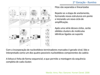 2ª Geração - Ilumina
Maridis Annu. Rev. Genome. Human Genet. 2008
Fitas são separadas e linearizadas
Repete-se a etapa de anelamento,
formando novas estruturas em ponte
e iniciando um novo ciclo de
amplificação.
Após uma série desses ciclos, serão
obtidos clusters de moléculas
idênticas ligadas ao suporte
Com a incorporação de nucleotídeos terminadores marcados é gerado sinal, lido e
interpretado como um dos quatro possíveis nucleotídeos componentes da cadeia
A leitura é feita de forma sequencial, o que permite a montagem da sequência
completa de cada cluster.
 