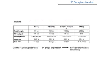 2ª Geração - Ilumina
 