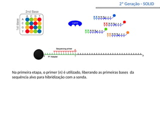 2ª Geração - SOLID
Na primeira etapa, o primer (n) é utilizado, liberando as primeiras bases da
sequência alvo para hibridização com a sonda.
 