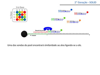 2ª Geração - SOLID
Uma das sondas do pool encontrará similaridade ao alvo ligando-se a ele.
 