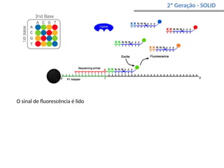 2ª Geração - SOLID
O sinal de fluorescência é lido
 