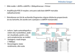 • Leitura (após autoradiografia a
ordem dos nucleotídeos, pode
ser visualizada, porém, esta
será complementar ao molde)
• Vantagens: reads longos
(~900bps)
• Desvantagens: baixo
rendimento, alto custo
• DNA molde + dNTPs e ddNTPs + DNApolimerase + Primer
• Amplificação-PCR (4 reações: uma para cada base ddNTP marcadas
radioativamente)
• Eletroforese em Gel de acrilamida (fragmentos migram distâncias proporcionais
ao seu tamanho, de acordo com a posição e o ddNTP incorporado)
Métodos Sanger
 