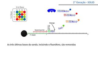 2ª Geração - SOLID
As três últimas bases da sonda, incluindo o fluoróforo, são removidas
 