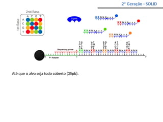 2ª Geração - SOLID
Até que o alvo seja todo coberto (35pb).
 