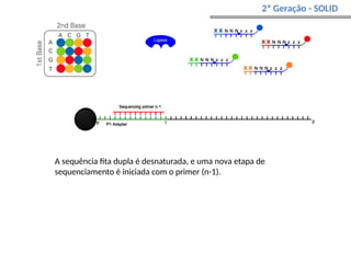 2ª Geração - SOLID
A sequência fita dupla é desnaturada, e uma nova etapa de
sequenciamento é iniciada com o primer (n-1).
 
