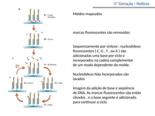 3ª Geração - Helicos
Moldes mapeados
marcas fluorescentes são removidas
Sequenciamento por síntese : nucleotídeos
fluorescentes ( C, G , T , ou A ) são
adicionadas uma base por ciclo e
incorporadas na cadeia complementar
de um modo dependente do molde.
Nucleotídeos Não incorporados são
lavados
Imagem da adição de base e seqüência
de DNA. As marcas fluorescentes são então
clivados , e a base seguinte é adicionado
para continuar o ciclo
 