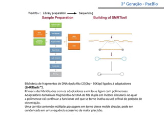 3ª Geração - PacBio
Biblioteca de fragmentos de DNA dupla fita (250bp - 10Kbp) ligados à adaptadores
(SMRTbells™).
Primers são hibridizados com os adaptadores e então se ligam com polimerases.
Adaptadores tornam os fragmentos de DNA de fita dupla em moldes circulares no qual
a polimerase vai continuar a funcionar até que se torne inativa ou até o final do período de
observação.
Uma corrida contendo múltiplas passagens em torno desse molde circular, pode ser
condensada em uma sequência consenso de maior precisão.
 