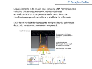 3ª Geração - PacBio
Sequenciamento feito em um chip, com uma DNA Polimerase ativa
com uma única molécula de DNA molde imobilizada
no fundo onde a luz pode penetrar e criar uma câmara de
visualização que permite monitorar a atividade da polimerase
Sinal de um nucleótido fluorescente incorporada pela polimerase
detectado no sequenciamento em tempo real .
 