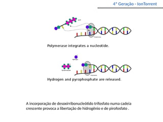 A incorporação de desoxirribonucleótido trifosfato numa cadeia
crescente provoca a libertação de hidrogênio e de pirofosfato .
4ª Geração - IonTorrent
 