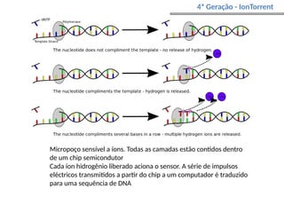 Micropoço sensível a íons. Todas as camadas estão contidos dentro
de um chip semicondutor
Cada íon hidrogênio liberado aciona o sensor. A série de impulsos
eléctricos transmitidos a partir do chip a um computador é traduzido
para uma sequência de DNA
4ª Geração - IonTorrent
 