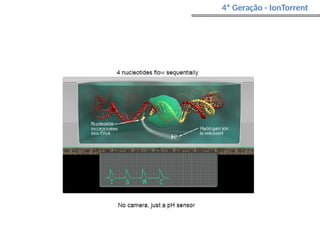 4ª Geração - IonTorrent
 