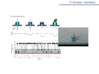4ª Geração - NanoPore
 