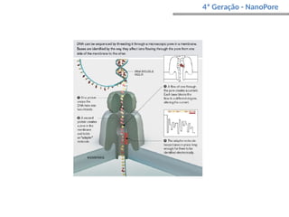 4ª Geração - NanoPore
 